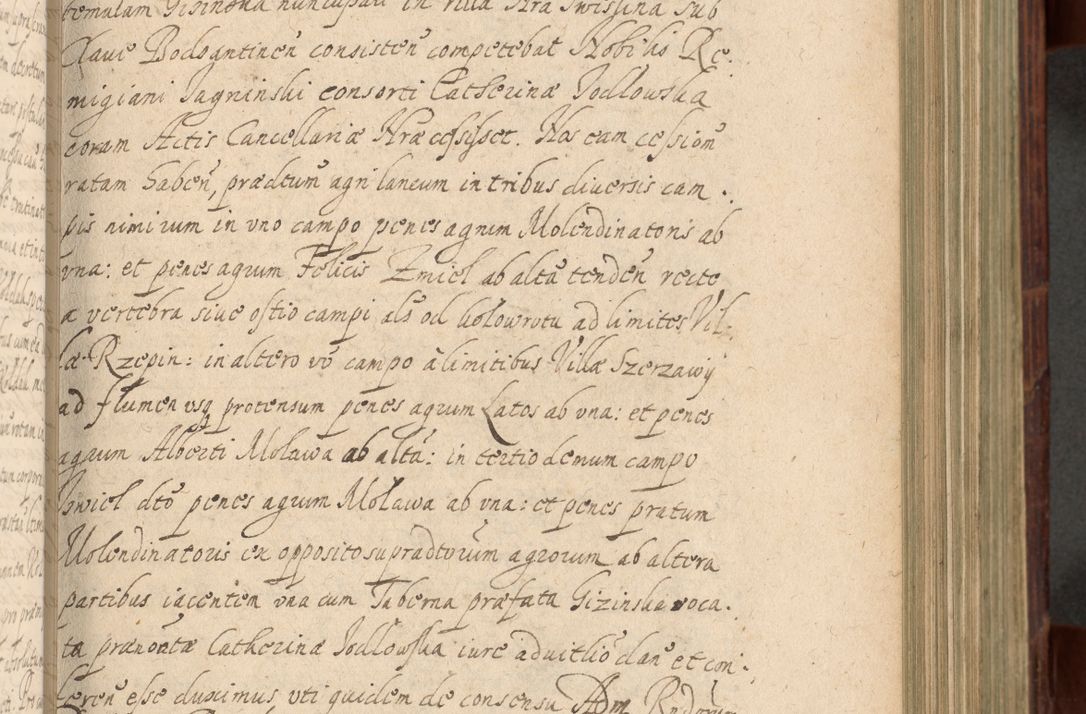 Zdjęcie nr 340 dla obiektu archiwalnego: Volumen IV. Acta saecularia episcopatus Cracoviensis annorum 1636 - 1641, tum et aliquot mensium secundi sub tempus R. D. Jacobi Zadzik, episcopi Cracoviensis, ducis Severiae conscripta