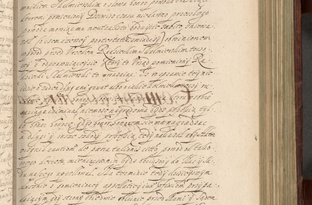 Zdjęcie nr 328 dla obiektu archiwalnego: Volumen IV. Acta saecularia episcopatus Cracoviensis annorum 1636 - 1641, tum et aliquot mensium secundi sub tempus R. D. Jacobi Zadzik, episcopi Cracoviensis, ducis Severiae conscripta