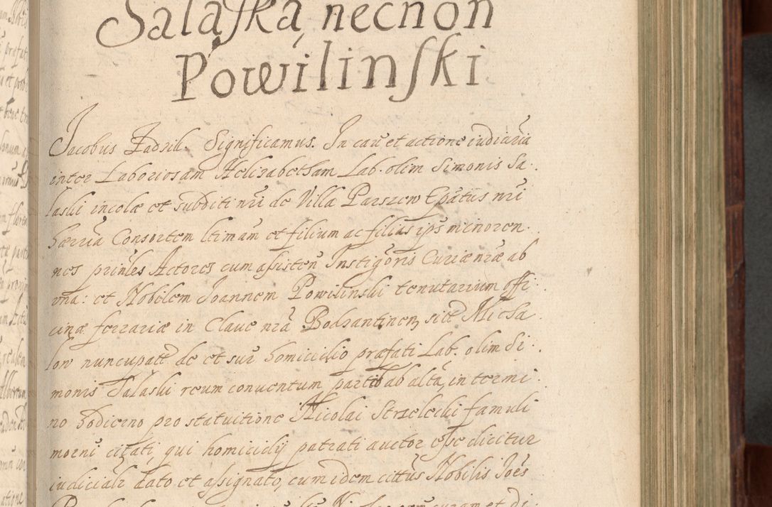 Zdjęcie nr 318 dla obiektu archiwalnego: Volumen IV. Acta saecularia episcopatus Cracoviensis annorum 1636 - 1641, tum et aliquot mensium secundi sub tempus R. D. Jacobi Zadzik, episcopi Cracoviensis, ducis Severiae conscripta