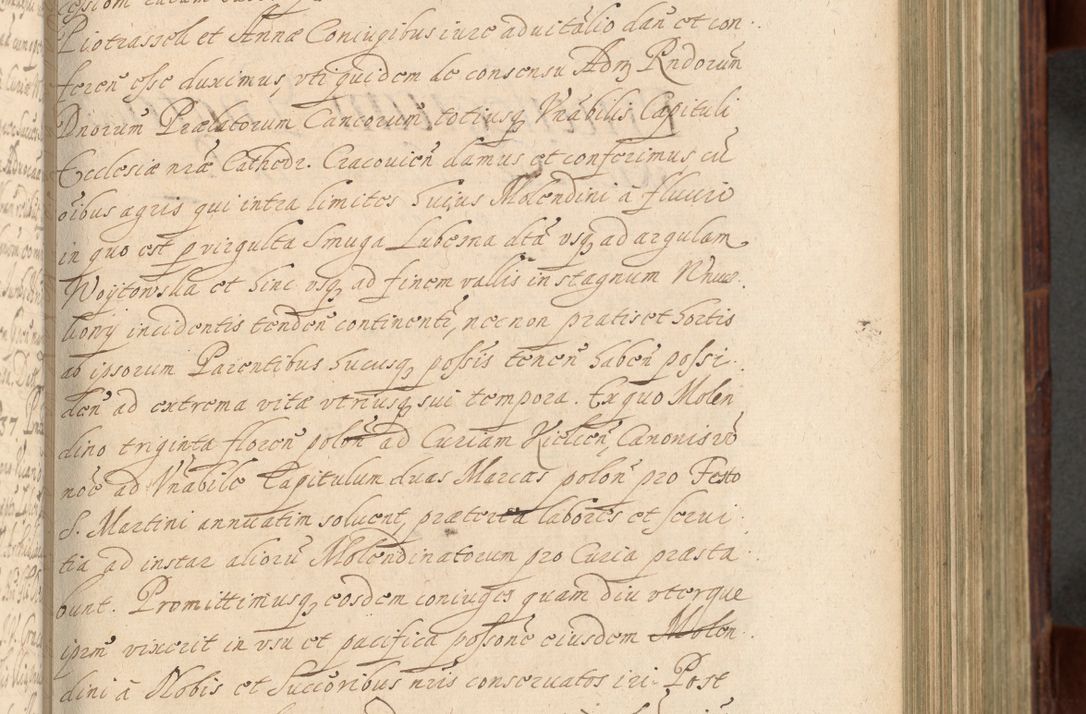 Zdjęcie nr 312 dla obiektu archiwalnego: Volumen IV. Acta saecularia episcopatus Cracoviensis annorum 1636 - 1641, tum et aliquot mensium secundi sub tempus R. D. Jacobi Zadzik, episcopi Cracoviensis, ducis Severiae conscripta