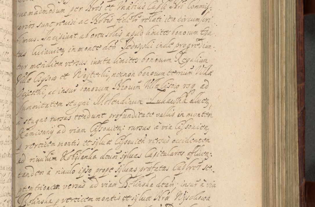 Zdjęcie nr 310 dla obiektu archiwalnego: Volumen IV. Acta saecularia episcopatus Cracoviensis annorum 1636 - 1641, tum et aliquot mensium secundi sub tempus R. D. Jacobi Zadzik, episcopi Cracoviensis, ducis Severiae conscripta