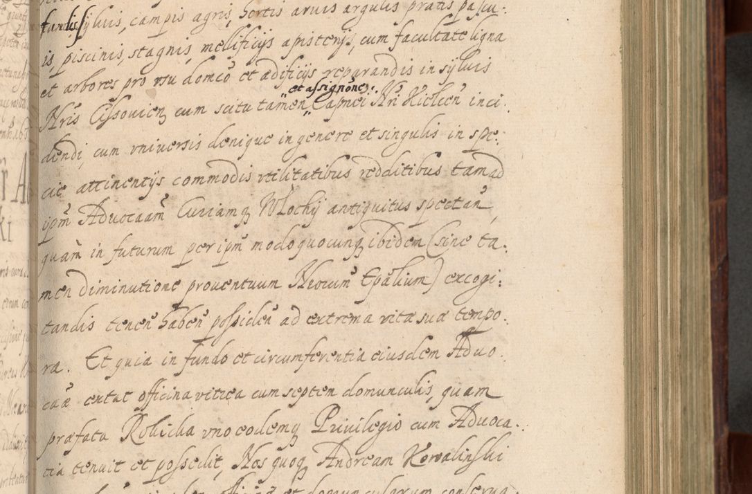Zdjęcie nr 308 dla obiektu archiwalnego: Volumen IV. Acta saecularia episcopatus Cracoviensis annorum 1636 - 1641, tum et aliquot mensium secundi sub tempus R. D. Jacobi Zadzik, episcopi Cracoviensis, ducis Severiae conscripta