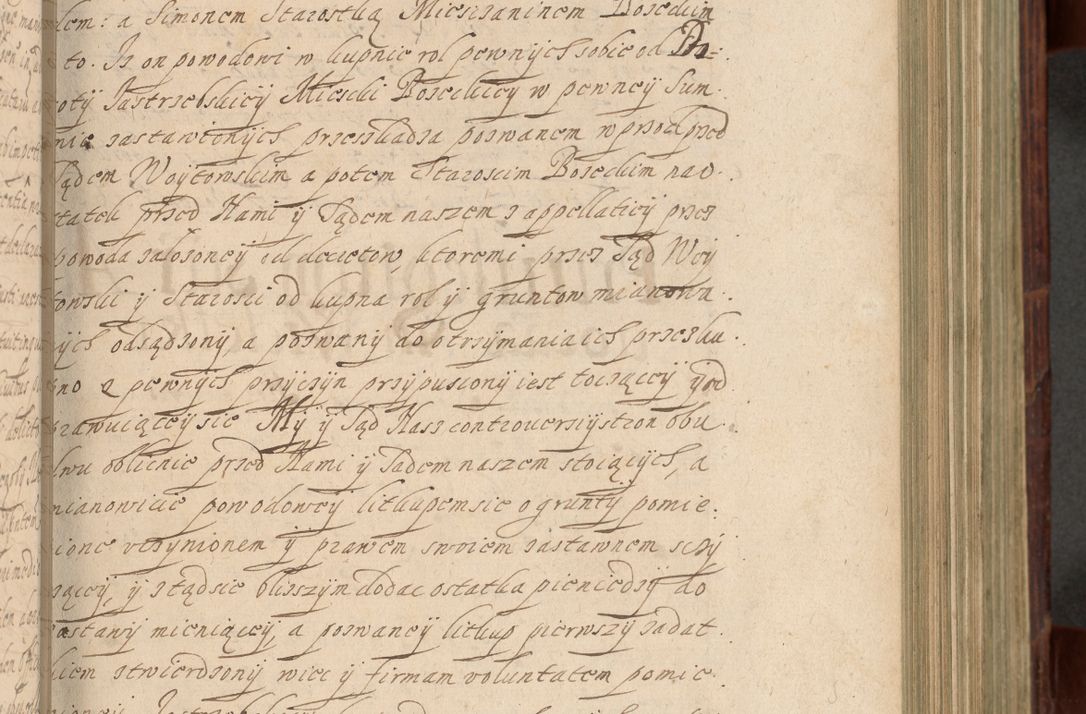 Zdjęcie nr 306 dla obiektu archiwalnego: Volumen IV. Acta saecularia episcopatus Cracoviensis annorum 1636 - 1641, tum et aliquot mensium secundi sub tempus R. D. Jacobi Zadzik, episcopi Cracoviensis, ducis Severiae conscripta