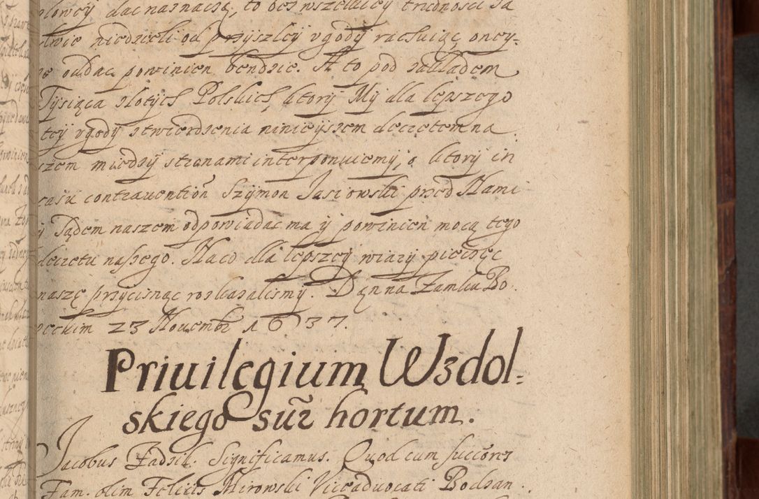 Zdjęcie nr 302 dla obiektu archiwalnego: Volumen IV. Acta saecularia episcopatus Cracoviensis annorum 1636 - 1641, tum et aliquot mensium secundi sub tempus R. D. Jacobi Zadzik, episcopi Cracoviensis, ducis Severiae conscripta