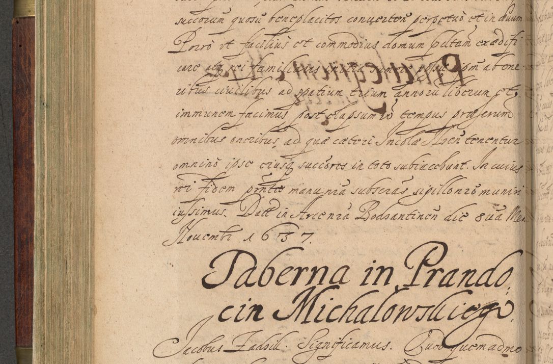 Zdjęcie nr 291 dla obiektu archiwalnego: Volumen IV. Acta saecularia episcopatus Cracoviensis annorum 1636 - 1641, tum et aliquot mensium secundi sub tempus R. D. Jacobi Zadzik, episcopi Cracoviensis, ducis Severiae conscripta