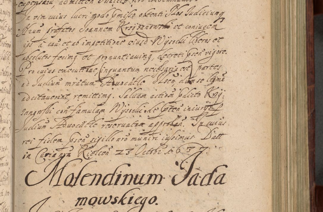 Zdjęcie nr 272 dla obiektu archiwalnego: Volumen IV. Acta saecularia episcopatus Cracoviensis annorum 1636 - 1641, tum et aliquot mensium secundi sub tempus R. D. Jacobi Zadzik, episcopi Cracoviensis, ducis Severiae conscripta