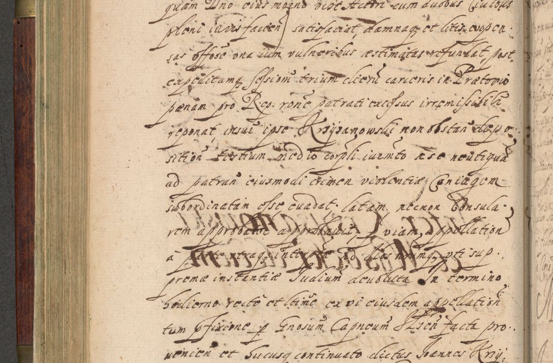 Zdjęcie nr 271 dla obiektu archiwalnego: Volumen IV. Acta saecularia episcopatus Cracoviensis annorum 1636 - 1641, tum et aliquot mensium secundi sub tempus R. D. Jacobi Zadzik, episcopi Cracoviensis, ducis Severiae conscripta