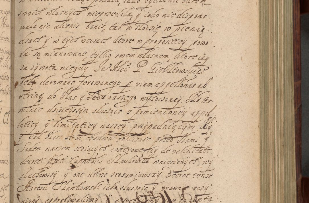 Zdjęcie nr 260 dla obiektu archiwalnego: Volumen IV. Acta saecularia episcopatus Cracoviensis annorum 1636 - 1641, tum et aliquot mensium secundi sub tempus R. D. Jacobi Zadzik, episcopi Cracoviensis, ducis Severiae conscripta