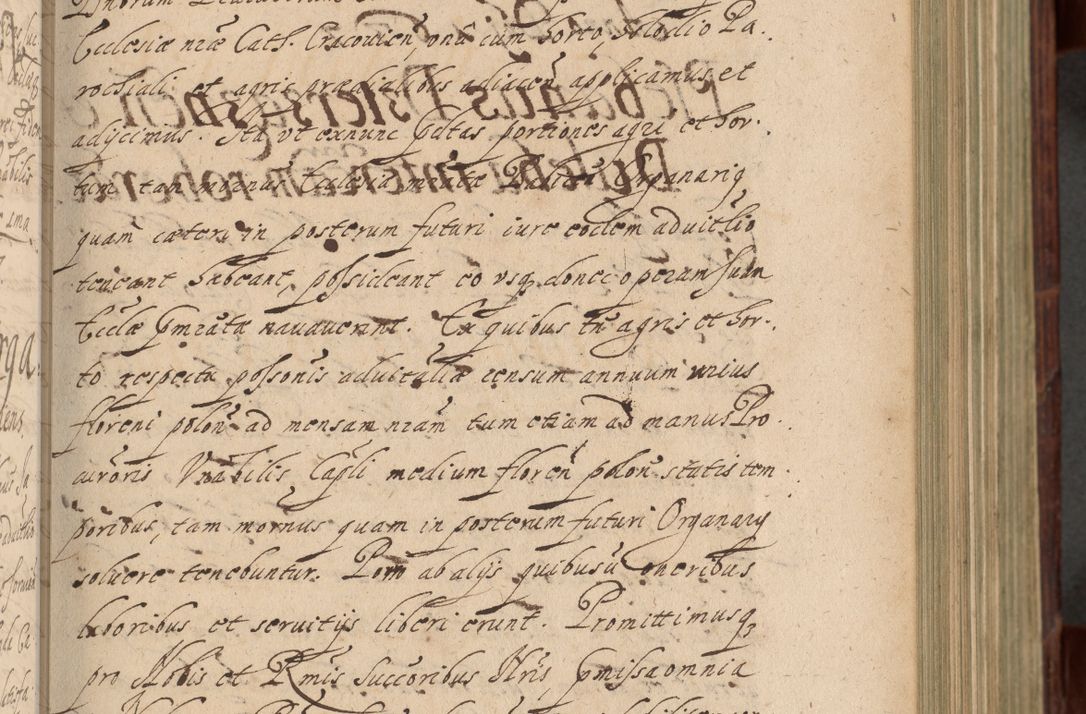 Zdjęcie nr 264 dla obiektu archiwalnego: Volumen IV. Acta saecularia episcopatus Cracoviensis annorum 1636 - 1641, tum et aliquot mensium secundi sub tempus R. D. Jacobi Zadzik, episcopi Cracoviensis, ducis Severiae conscripta