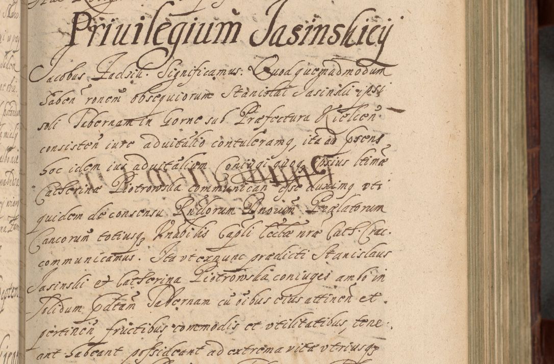 Zdjęcie nr 262 dla obiektu archiwalnego: Volumen IV. Acta saecularia episcopatus Cracoviensis annorum 1636 - 1641, tum et aliquot mensium secundi sub tempus R. D. Jacobi Zadzik, episcopi Cracoviensis, ducis Severiae conscripta