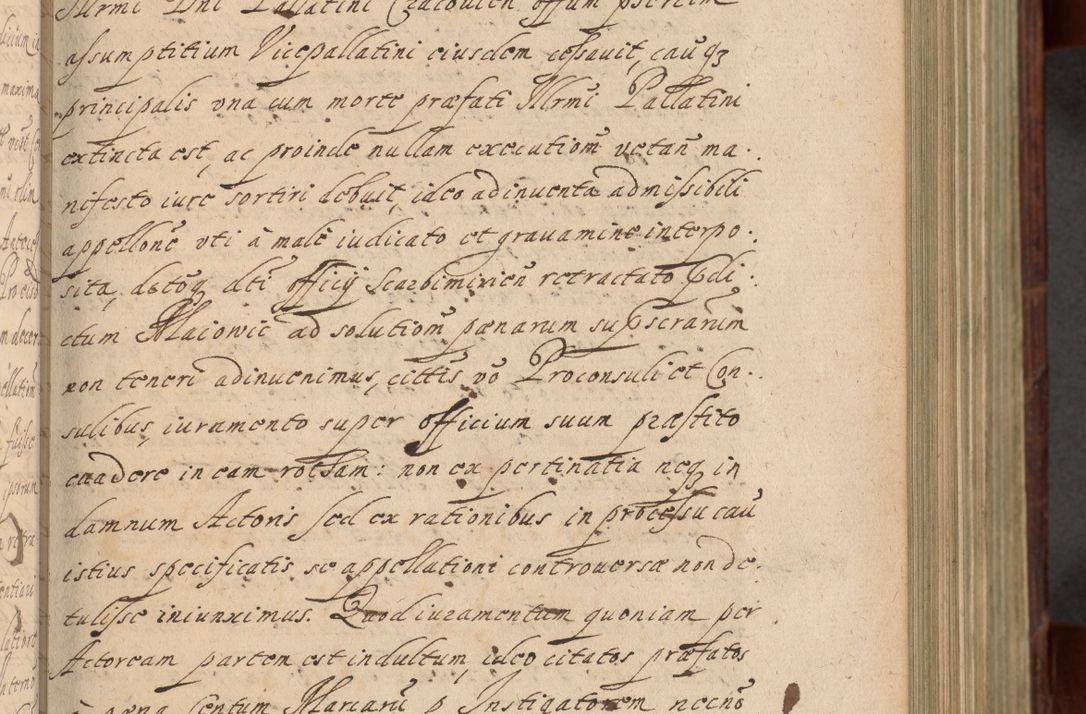 Zdjęcie nr 252 dla obiektu archiwalnego: Volumen IV. Acta saecularia episcopatus Cracoviensis annorum 1636 - 1641, tum et aliquot mensium secundi sub tempus R. D. Jacobi Zadzik, episcopi Cracoviensis, ducis Severiae conscripta