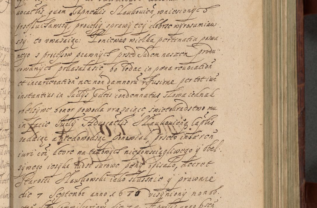 Zdjęcie nr 256 dla obiektu archiwalnego: Volumen IV. Acta saecularia episcopatus Cracoviensis annorum 1636 - 1641, tum et aliquot mensium secundi sub tempus R. D. Jacobi Zadzik, episcopi Cracoviensis, ducis Severiae conscripta