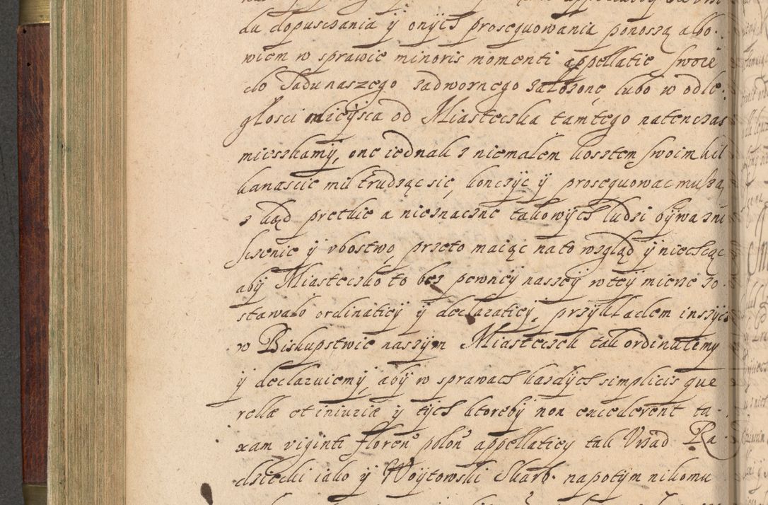 Zdjęcie nr 253 dla obiektu archiwalnego: Volumen IV. Acta saecularia episcopatus Cracoviensis annorum 1636 - 1641, tum et aliquot mensium secundi sub tempus R. D. Jacobi Zadzik, episcopi Cracoviensis, ducis Severiae conscripta