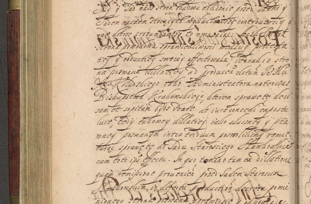 Zdjęcie nr 247 dla obiektu archiwalnego: Volumen IV. Acta saecularia episcopatus Cracoviensis annorum 1636 - 1641, tum et aliquot mensium secundi sub tempus R. D. Jacobi Zadzik, episcopi Cracoviensis, ducis Severiae conscripta