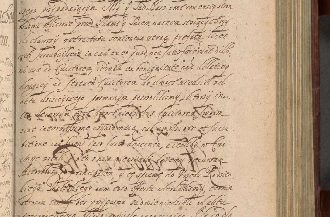 Zdjęcie nr 242 dla obiektu archiwalnego: Volumen IV. Acta saecularia episcopatus Cracoviensis annorum 1636 - 1641, tum et aliquot mensium secundi sub tempus R. D. Jacobi Zadzik, episcopi Cracoviensis, ducis Severiae conscripta