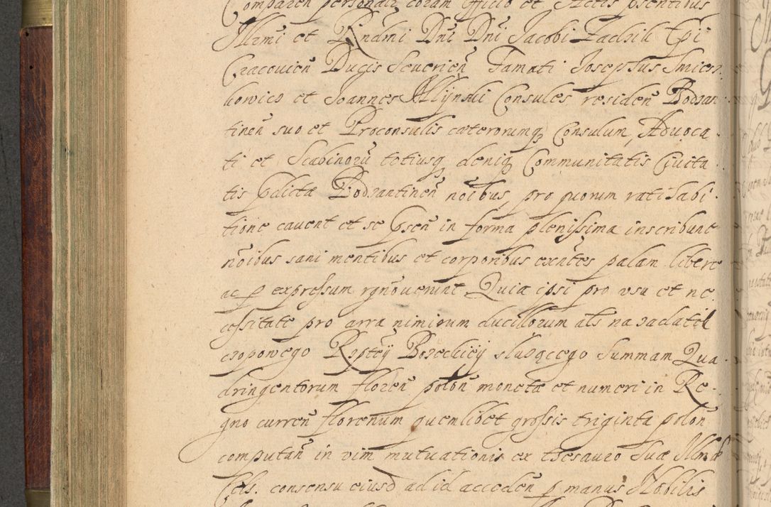 Zdjęcie nr 239 dla obiektu archiwalnego: Volumen IV. Acta saecularia episcopatus Cracoviensis annorum 1636 - 1641, tum et aliquot mensium secundi sub tempus R. D. Jacobi Zadzik, episcopi Cracoviensis, ducis Severiae conscripta