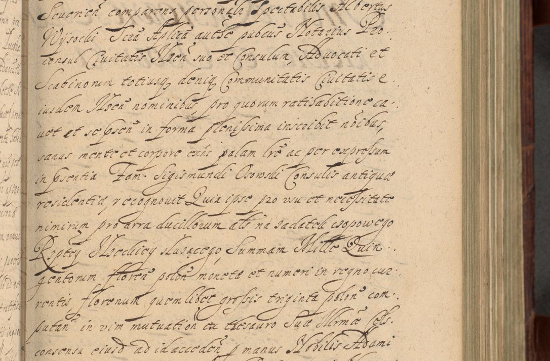 Zdjęcie nr 234 dla obiektu archiwalnego: Volumen IV. Acta saecularia episcopatus Cracoviensis annorum 1636 - 1641, tum et aliquot mensium secundi sub tempus R. D. Jacobi Zadzik, episcopi Cracoviensis, ducis Severiae conscripta