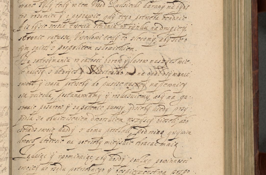 Zdjęcie nr 226 dla obiektu archiwalnego: Volumen IV. Acta saecularia episcopatus Cracoviensis annorum 1636 - 1641, tum et aliquot mensium secundi sub tempus R. D. Jacobi Zadzik, episcopi Cracoviensis, ducis Severiae conscripta