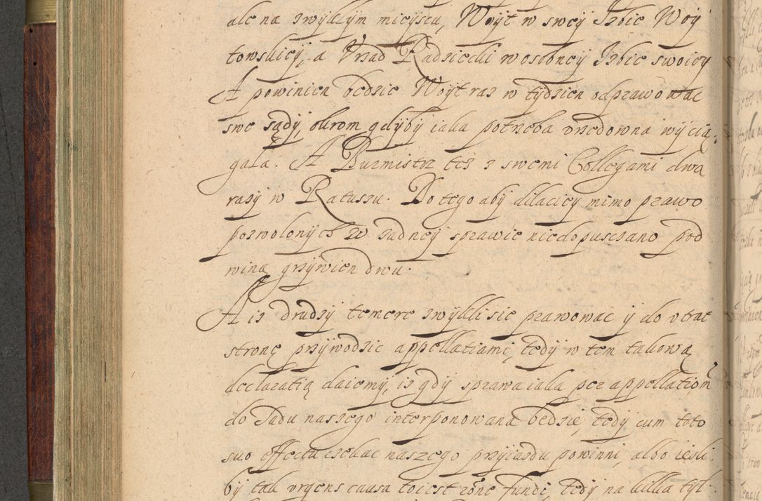 Zdjęcie nr 219 dla obiektu archiwalnego: Volumen IV. Acta saecularia episcopatus Cracoviensis annorum 1636 - 1641, tum et aliquot mensium secundi sub tempus R. D. Jacobi Zadzik, episcopi Cracoviensis, ducis Severiae conscripta