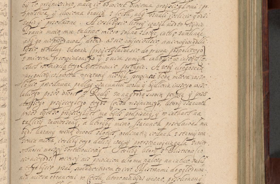 Zdjęcie nr 178 dla obiektu archiwalnego: Volumen IV. Acta saecularia episcopatus Cracoviensis annorum 1636 - 1641, tum et aliquot mensium secundi sub tempus R. D. Jacobi Zadzik, episcopi Cracoviensis, ducis Severiae conscripta