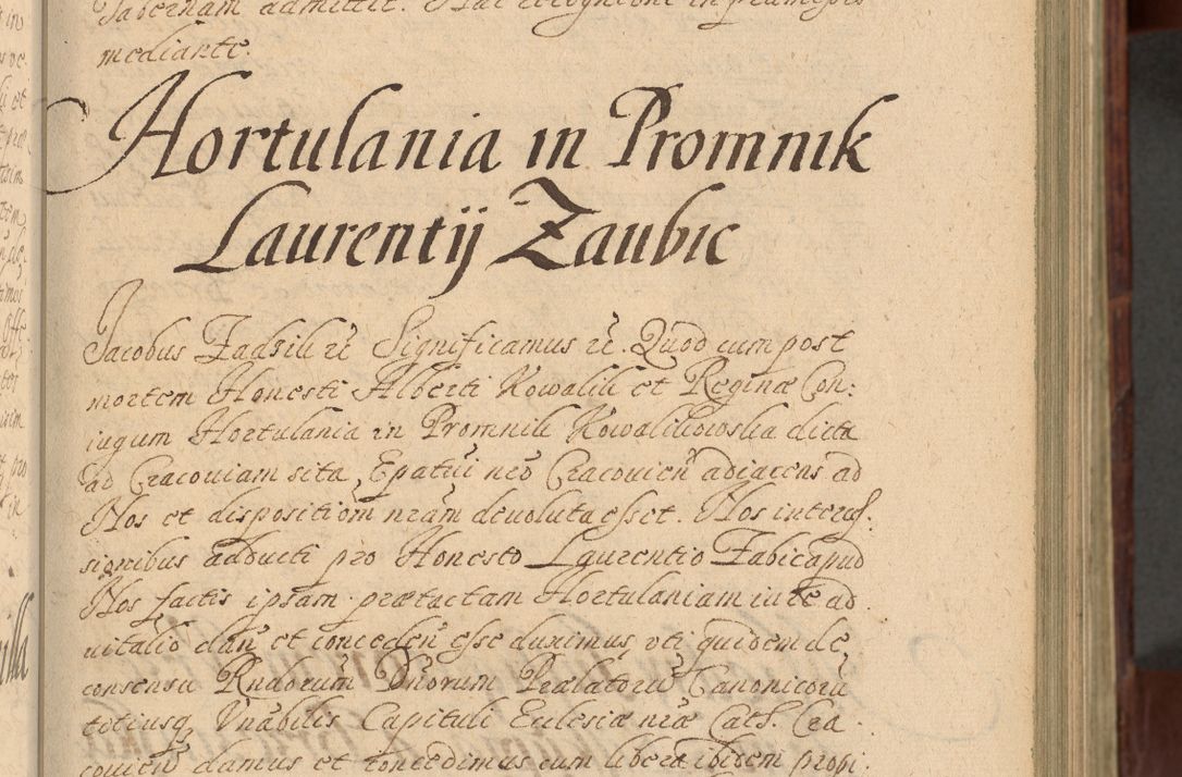 Zdjęcie nr 120 dla obiektu archiwalnego: Volumen IV. Acta saecularia episcopatus Cracoviensis annorum 1636 - 1641, tum et aliquot mensium secundi sub tempus R. D. Jacobi Zadzik, episcopi Cracoviensis, ducis Severiae conscripta