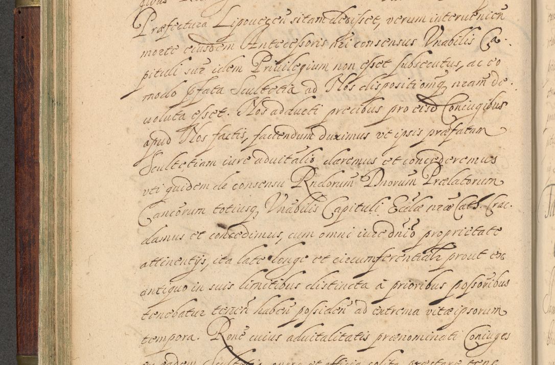 Zdjęcie nr 101 dla obiektu archiwalnego: Volumen IV. Acta saecularia episcopatus Cracoviensis annorum 1636 - 1641, tum et aliquot mensium secundi sub tempus R. D. Jacobi Zadzik, episcopi Cracoviensis, ducis Severiae conscripta