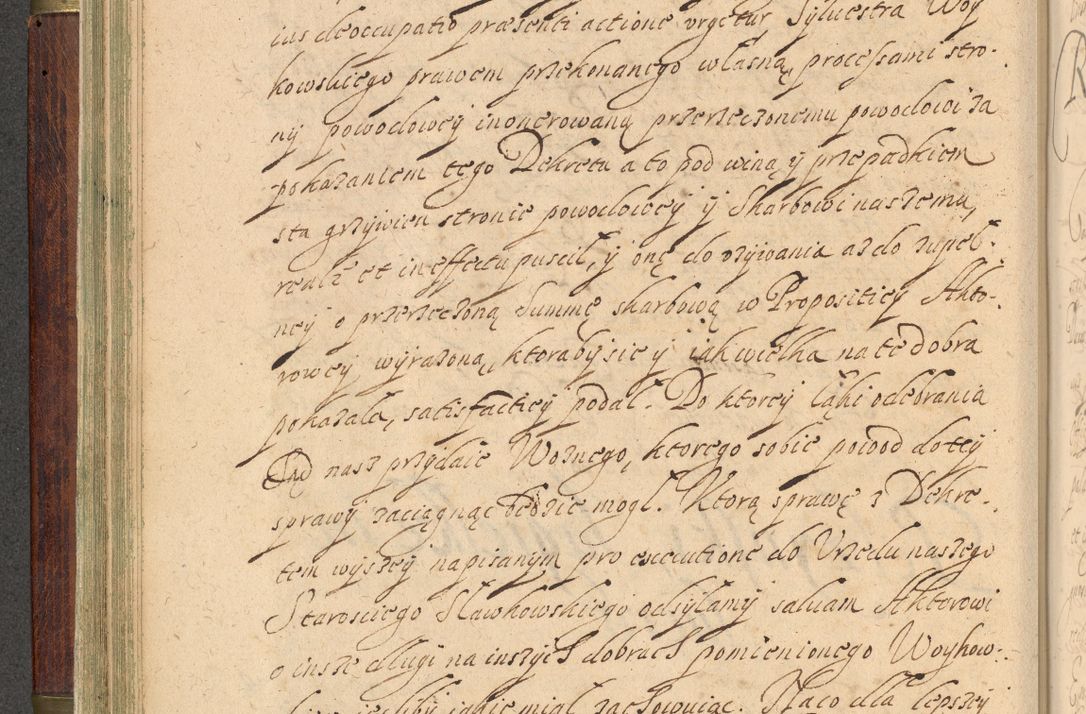 Zdjęcie nr 99 dla obiektu archiwalnego: Volumen IV. Acta saecularia episcopatus Cracoviensis annorum 1636 - 1641, tum et aliquot mensium secundi sub tempus R. D. Jacobi Zadzik, episcopi Cracoviensis, ducis Severiae conscripta