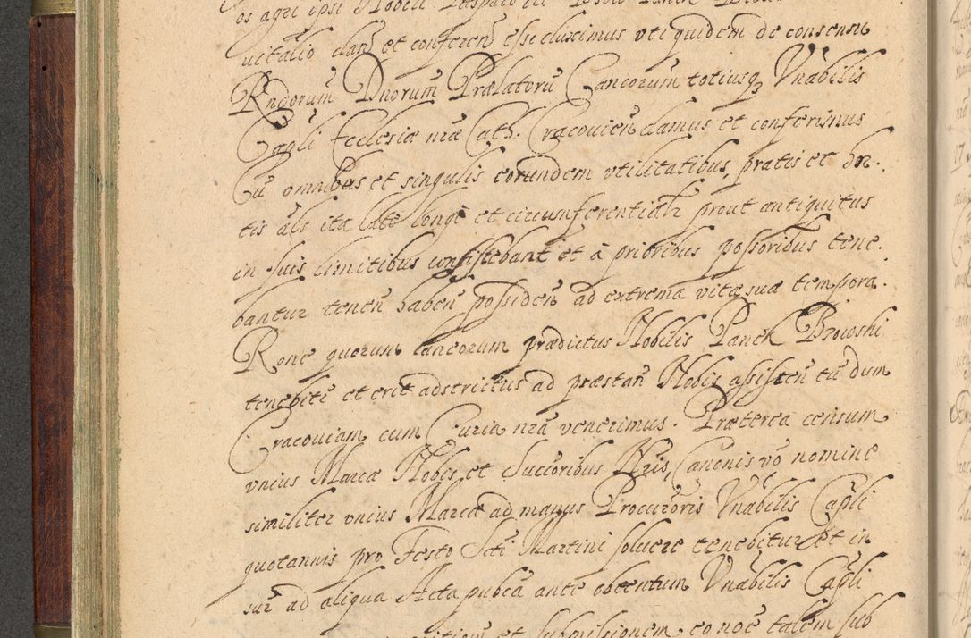 Zdjęcie nr 85 dla obiektu archiwalnego: Volumen IV. Acta saecularia episcopatus Cracoviensis annorum 1636 - 1641, tum et aliquot mensium secundi sub tempus R. D. Jacobi Zadzik, episcopi Cracoviensis, ducis Severiae conscripta