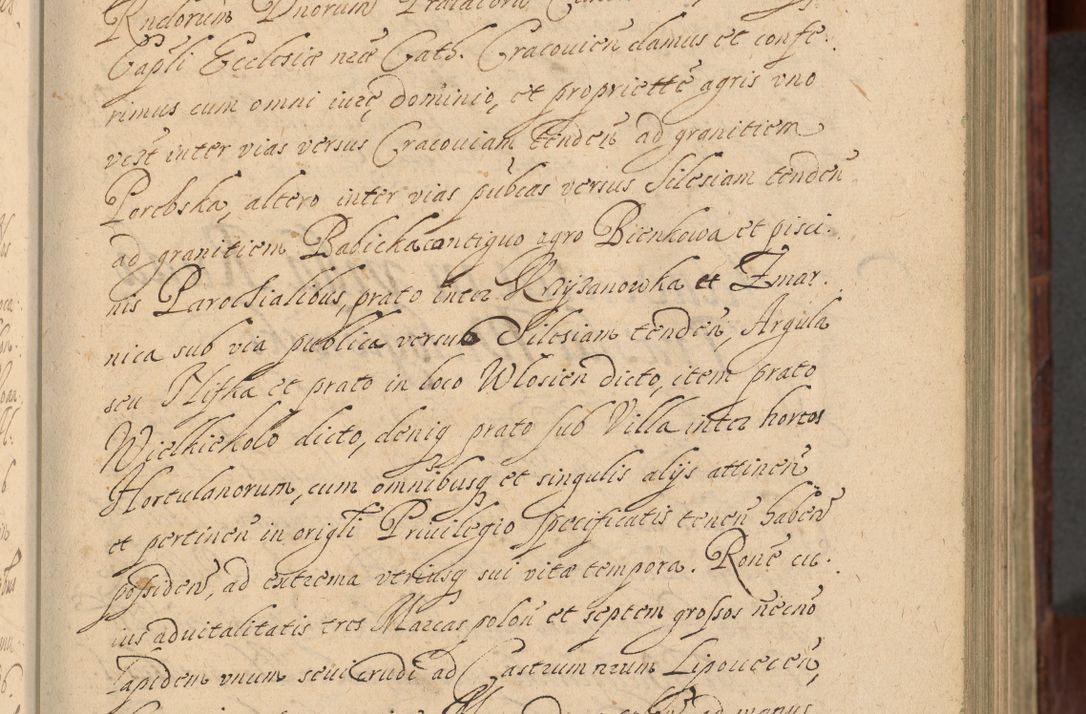 Zdjęcie nr 76 dla obiektu archiwalnego: Volumen IV. Acta saecularia episcopatus Cracoviensis annorum 1636 - 1641, tum et aliquot mensium secundi sub tempus R. D. Jacobi Zadzik, episcopi Cracoviensis, ducis Severiae conscripta