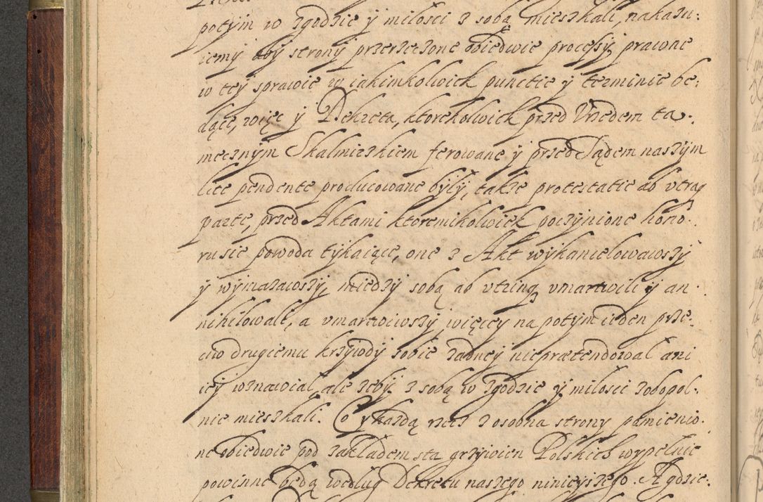 Zdjęcie nr 71 dla obiektu archiwalnego: Volumen IV. Acta saecularia episcopatus Cracoviensis annorum 1636 - 1641, tum et aliquot mensium secundi sub tempus R. D. Jacobi Zadzik, episcopi Cracoviensis, ducis Severiae conscripta