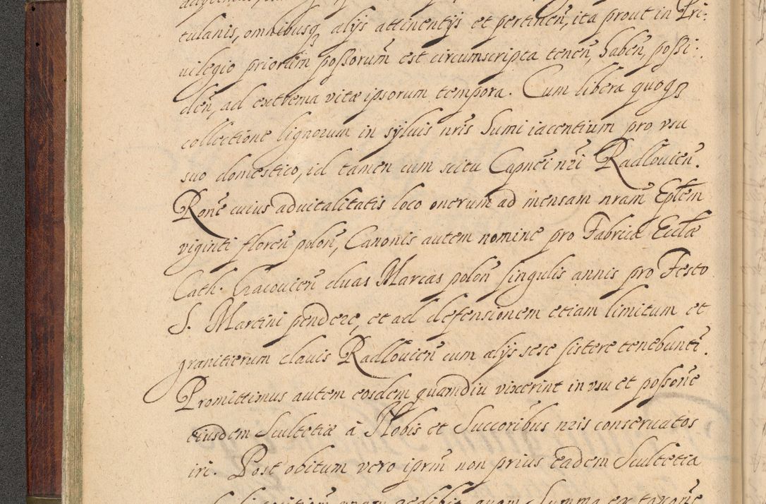 Zdjęcie nr 45 dla obiektu archiwalnego: Volumen IV. Acta saecularia episcopatus Cracoviensis annorum 1636 - 1641, tum et aliquot mensium secundi sub tempus R. D. Jacobi Zadzik, episcopi Cracoviensis, ducis Severiae conscripta
