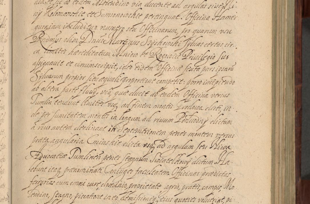 Zdjęcie nr 38 dla obiektu archiwalnego: Volumen IV. Acta saecularia episcopatus Cracoviensis annorum 1636 - 1641, tum et aliquot mensium secundi sub tempus R. D. Jacobi Zadzik, episcopi Cracoviensis, ducis Severiae conscripta