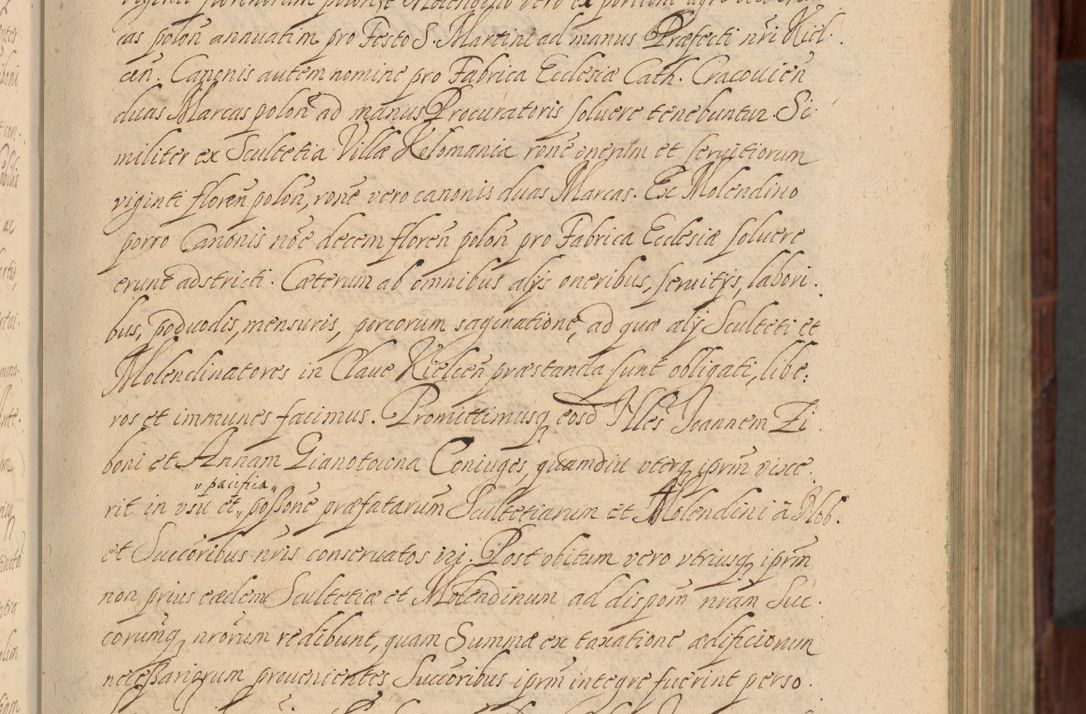 Zdjęcie nr 36 dla obiektu archiwalnego: Volumen IV. Acta saecularia episcopatus Cracoviensis annorum 1636 - 1641, tum et aliquot mensium secundi sub tempus R. D. Jacobi Zadzik, episcopi Cracoviensis, ducis Severiae conscripta