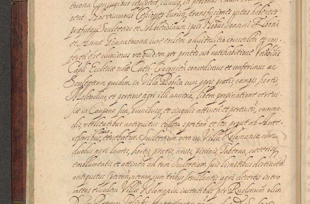 Zdjęcie nr 35 dla obiektu archiwalnego: Volumen IV. Acta saecularia episcopatus Cracoviensis annorum 1636 - 1641, tum et aliquot mensium secundi sub tempus R. D. Jacobi Zadzik, episcopi Cracoviensis, ducis Severiae conscripta