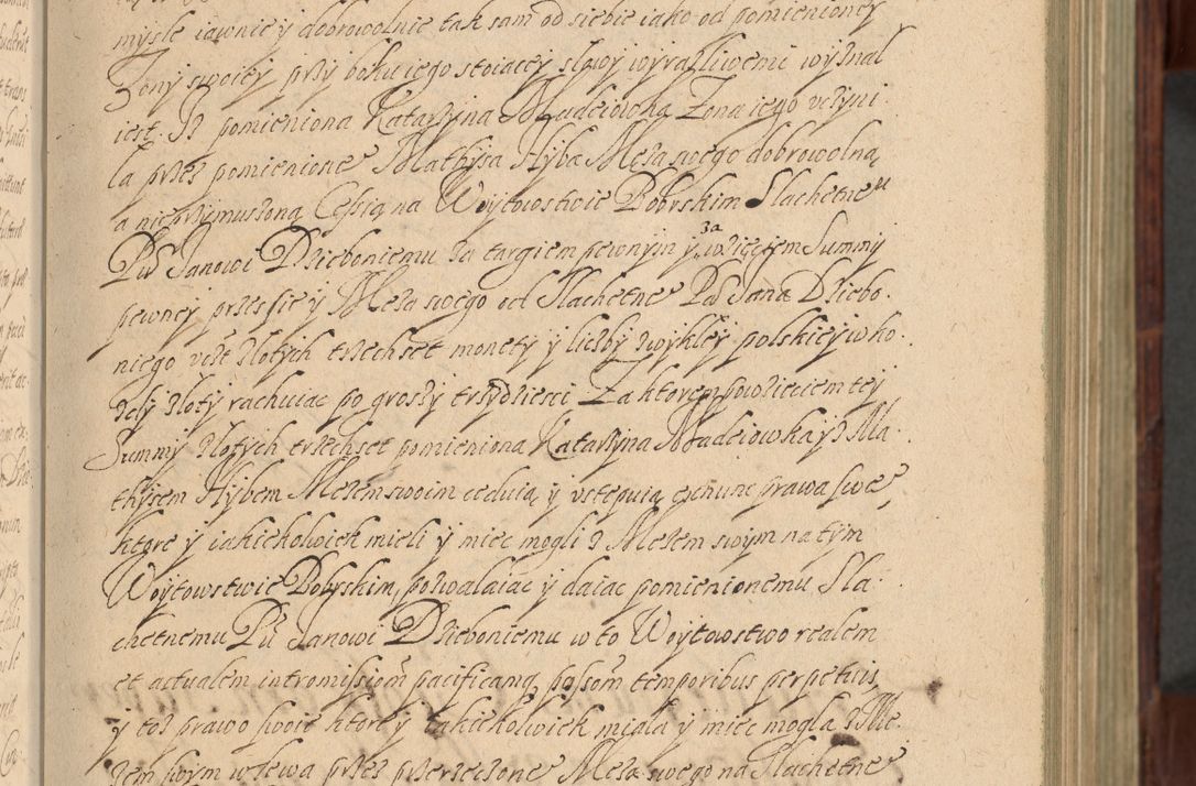Zdjęcie nr 32 dla obiektu archiwalnego: Volumen IV. Acta saecularia episcopatus Cracoviensis annorum 1636 - 1641, tum et aliquot mensium secundi sub tempus R. D. Jacobi Zadzik, episcopi Cracoviensis, ducis Severiae conscripta