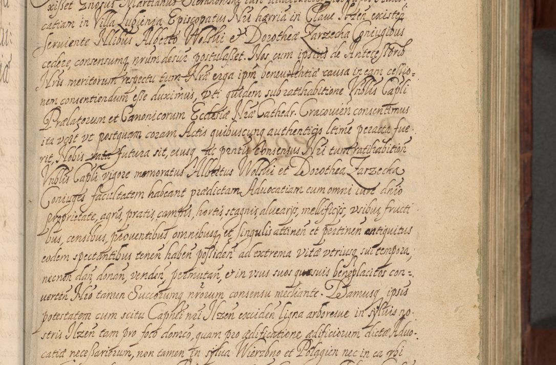 Zdjęcie nr 10 dla obiektu archiwalnego: Volumen IV. Acta saecularia episcopatus Cracoviensis annorum 1636 - 1641, tum et aliquot mensium secundi sub tempus R. D. Jacobi Zadzik, episcopi Cracoviensis, ducis Severiae conscripta
