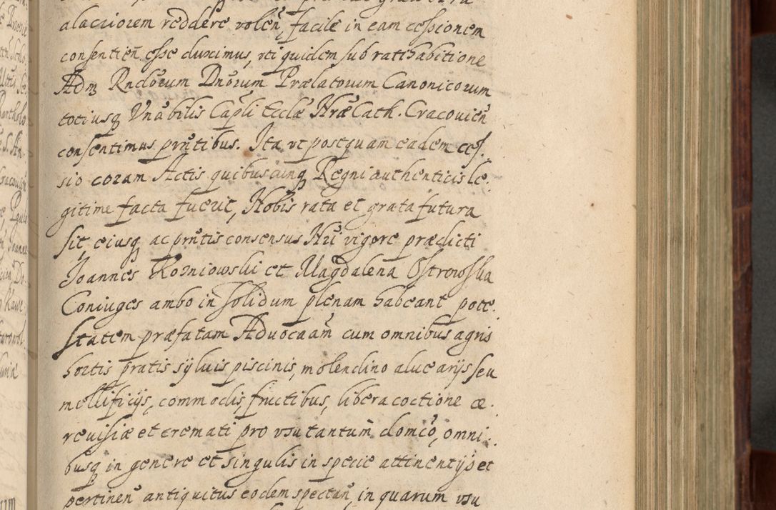 Zdjęcie nr 408 dla obiektu archiwalnego: Volumen IV. Acta saecularia episcopatus Cracoviensis annorum 1636 - 1641, tum et aliquot mensium secundi sub tempus R. D. Jacobi Zadzik, episcopi Cracoviensis, ducis Severiae conscripta