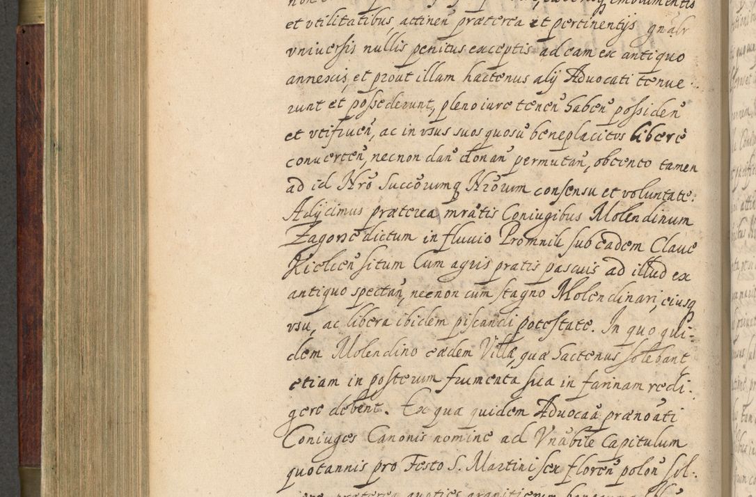 Zdjęcie nr 411 dla obiektu archiwalnego: Volumen IV. Acta saecularia episcopatus Cracoviensis annorum 1636 - 1641, tum et aliquot mensium secundi sub tempus R. D. Jacobi Zadzik, episcopi Cracoviensis, ducis Severiae conscripta