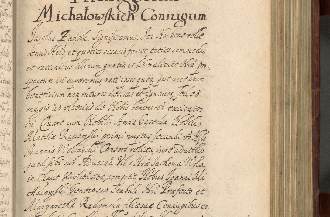 Zdjęcie nr 410 dla obiektu archiwalnego: Volumen IV. Acta saecularia episcopatus Cracoviensis annorum 1636 - 1641, tum et aliquot mensium secundi sub tempus R. D. Jacobi Zadzik, episcopi Cracoviensis, ducis Severiae conscripta
