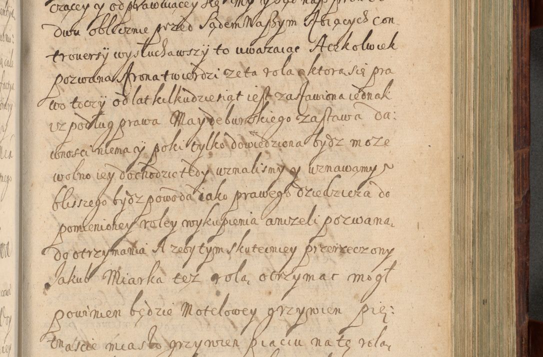 Zdjęcie nr 800 dla obiektu archiwalnego: Volumen IV. Acta saecularia episcopatus Cracoviensis annorum 1636 - 1641, tum et aliquot mensium secundi sub tempus R. D. Jacobi Zadzik, episcopi Cracoviensis, ducis Severiae conscripta