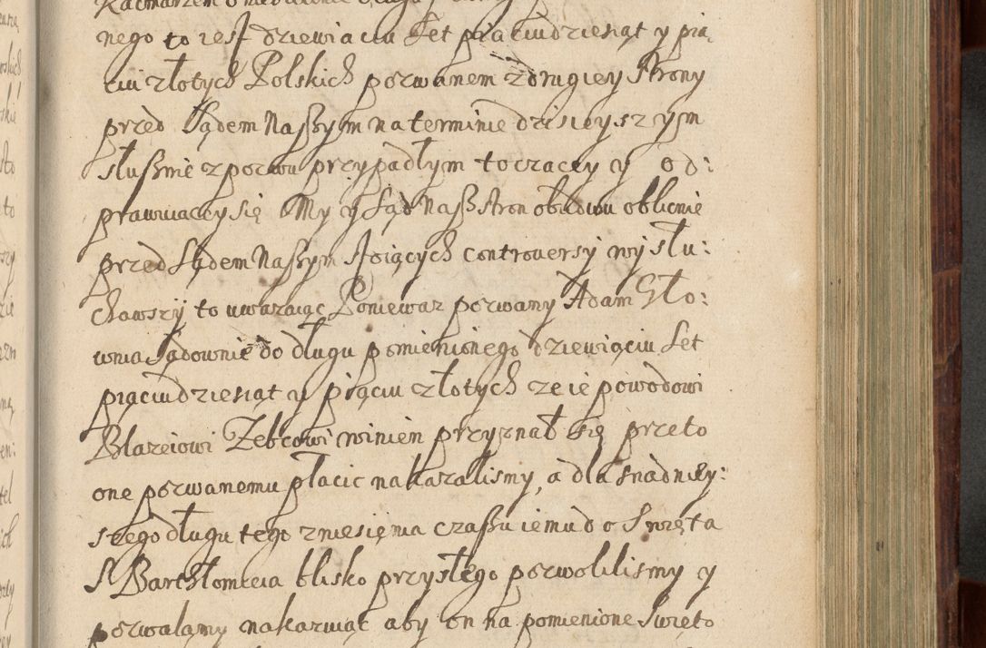 Zdjęcie nr 798 dla obiektu archiwalnego: Volumen IV. Acta saecularia episcopatus Cracoviensis annorum 1636 - 1641, tum et aliquot mensium secundi sub tempus R. D. Jacobi Zadzik, episcopi Cracoviensis, ducis Severiae conscripta