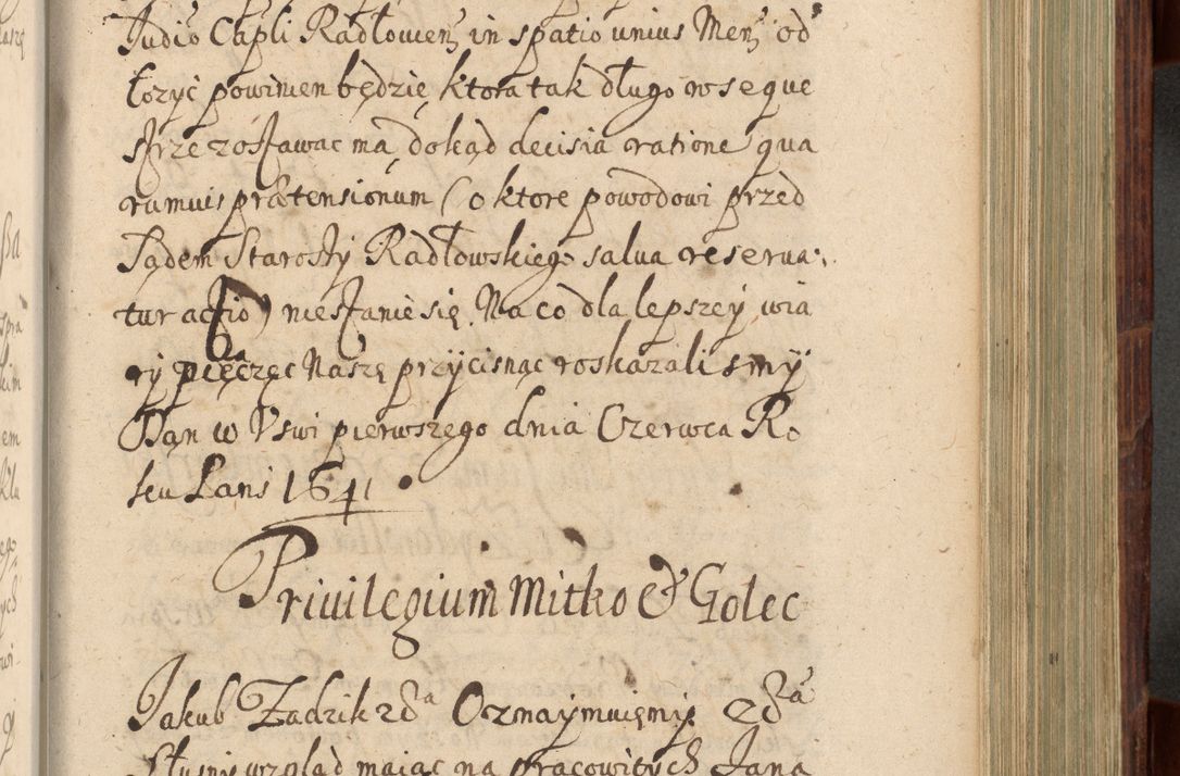Zdjęcie nr 794 dla obiektu archiwalnego: Volumen IV. Acta saecularia episcopatus Cracoviensis annorum 1636 - 1641, tum et aliquot mensium secundi sub tempus R. D. Jacobi Zadzik, episcopi Cracoviensis, ducis Severiae conscripta