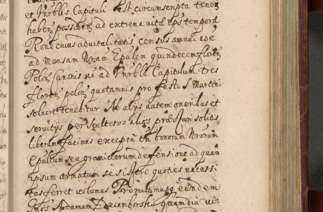 Zdjęcie nr 782 dla obiektu archiwalnego: Volumen IV. Acta saecularia episcopatus Cracoviensis annorum 1636 - 1641, tum et aliquot mensium secundi sub tempus R. D. Jacobi Zadzik, episcopi Cracoviensis, ducis Severiae conscripta