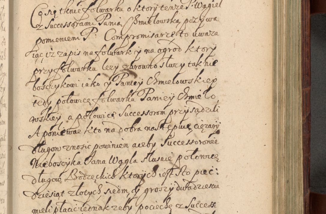 Zdjęcie nr 742 dla obiektu archiwalnego: Volumen IV. Acta saecularia episcopatus Cracoviensis annorum 1636 - 1641, tum et aliquot mensium secundi sub tempus R. D. Jacobi Zadzik, episcopi Cracoviensis, ducis Severiae conscripta