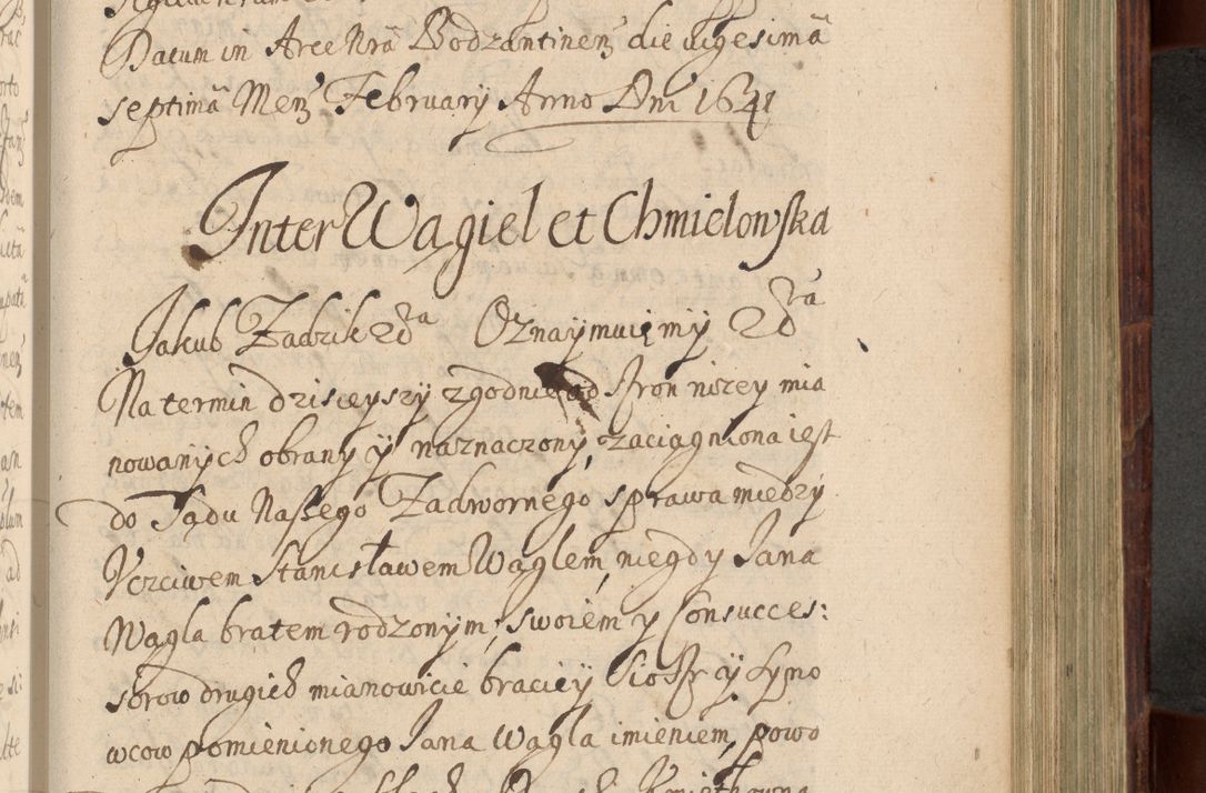 Zdjęcie nr 738 dla obiektu archiwalnego: Volumen IV. Acta saecularia episcopatus Cracoviensis annorum 1636 - 1641, tum et aliquot mensium secundi sub tempus R. D. Jacobi Zadzik, episcopi Cracoviensis, ducis Severiae conscripta
