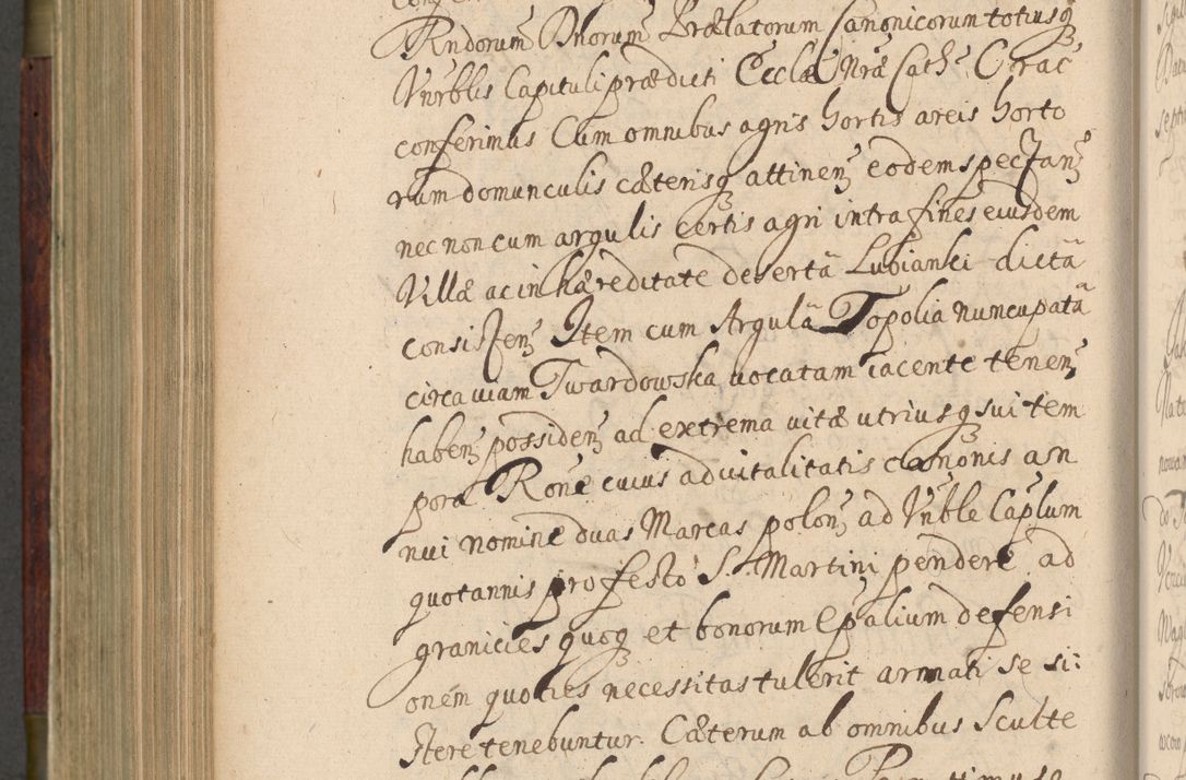 Zdjęcie nr 737 dla obiektu archiwalnego: Volumen IV. Acta saecularia episcopatus Cracoviensis annorum 1636 - 1641, tum et aliquot mensium secundi sub tempus R. D. Jacobi Zadzik, episcopi Cracoviensis, ducis Severiae conscripta
