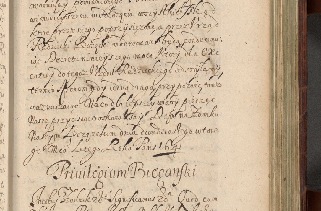 Zdjęcie nr 736 dla obiektu archiwalnego: Volumen IV. Acta saecularia episcopatus Cracoviensis annorum 1636 - 1641, tum et aliquot mensium secundi sub tempus R. D. Jacobi Zadzik, episcopi Cracoviensis, ducis Severiae conscripta