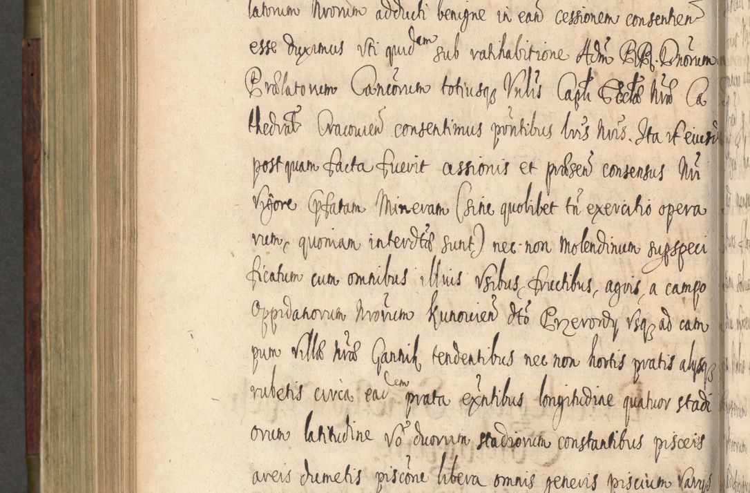Zdjęcie nr 713 dla obiektu archiwalnego: Volumen IV. Acta saecularia episcopatus Cracoviensis annorum 1636 - 1641, tum et aliquot mensium secundi sub tempus R. D. Jacobi Zadzik, episcopi Cracoviensis, ducis Severiae conscripta
