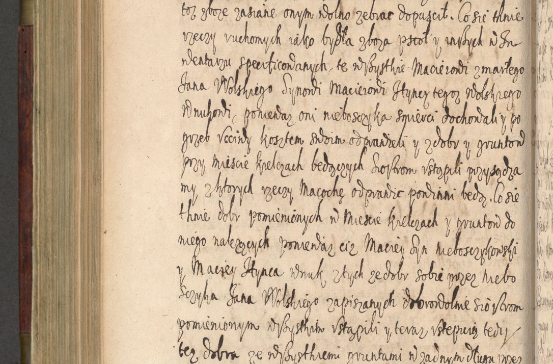 Zdjęcie nr 667 dla obiektu archiwalnego: Volumen IV. Acta saecularia episcopatus Cracoviensis annorum 1636 - 1641, tum et aliquot mensium secundi sub tempus R. D. Jacobi Zadzik, episcopi Cracoviensis, ducis Severiae conscripta