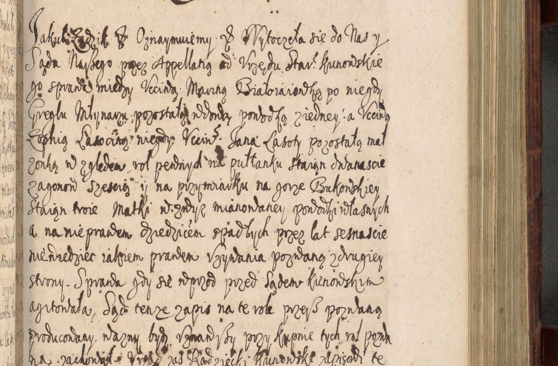 Zdjęcie nr 656 dla obiektu archiwalnego: Volumen IV. Acta saecularia episcopatus Cracoviensis annorum 1636 - 1641, tum et aliquot mensium secundi sub tempus R. D. Jacobi Zadzik, episcopi Cracoviensis, ducis Severiae conscripta